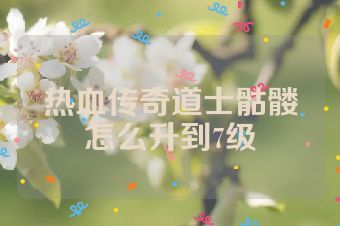 热血传奇道士骷髅怎么升到7级